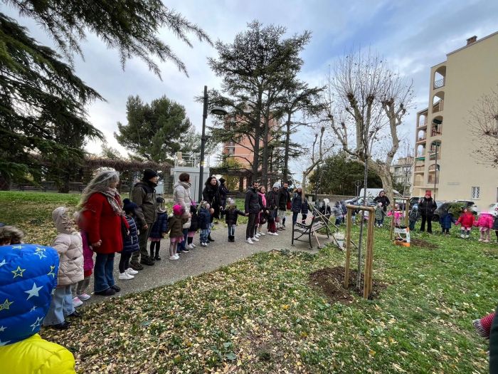 Due ciliegi per i nuovi nati: il Comune di Trieste celebra la Giornata degli alberi a piazzale Rosmini