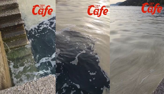 Le mucillagini persistono nel Golfo di Trieste (VIDEO)