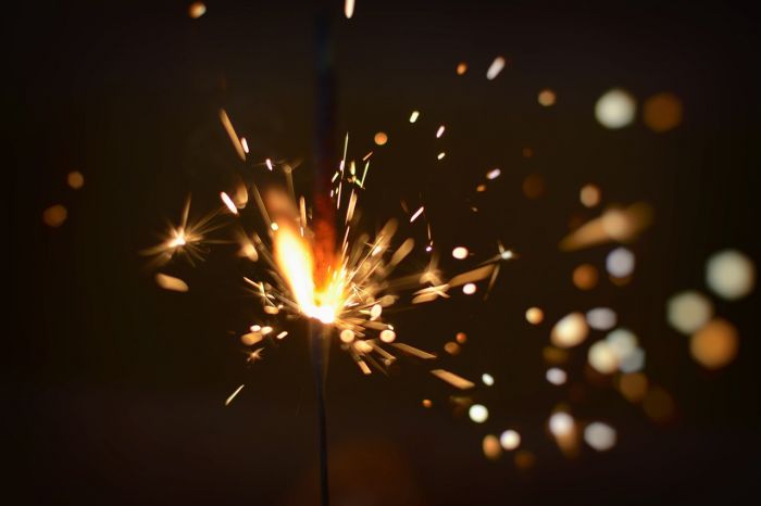 Capodanno: sindaco Gorizia vieta petardi e mortaretti