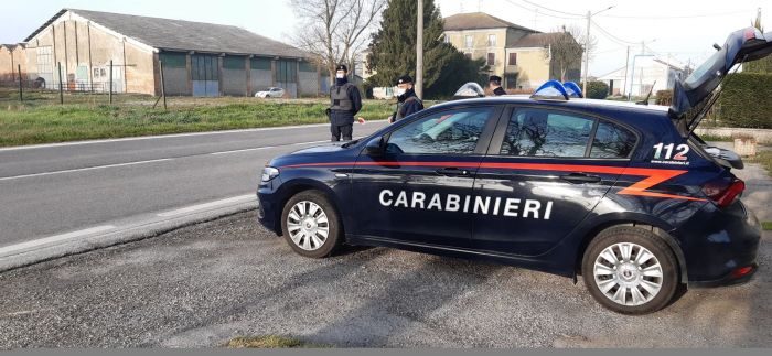 Trieste, stretta contro la droga: Carabinieri trovano hashish e marijuana, tre segnalazioni all’autorità