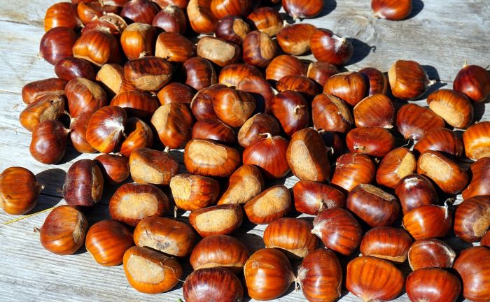 2 novembre: tartufi e castagne spingono 7 italiani su 10 nelle sagre autunnali