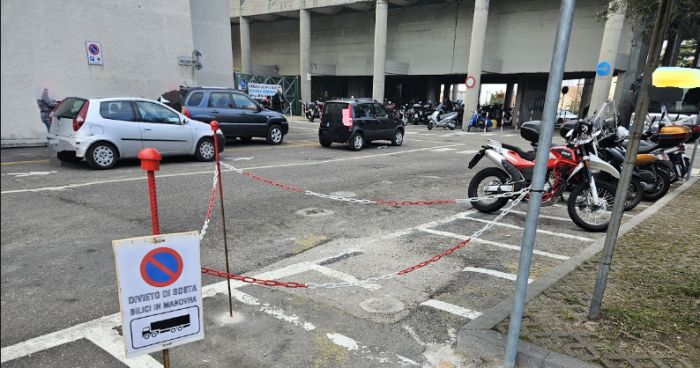 "Ripuliti il sottobosco della pineta di Cattinara e le caditoie di via del Botro bassa, ma cantieri fermi o quasi"