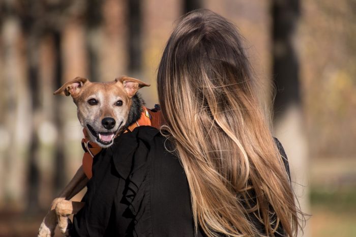 “Ciao Evelin”, la città commossa e l’appello dei triestini: più responsabilità verso gli animali