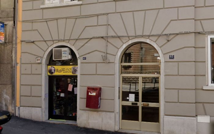 Nuova chiusura a Trieste, chiude "Musipelosi": apprezzato negozio di animali