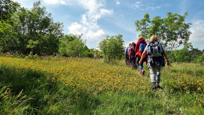 “Quanto vale un petalo?”: escursione sul Carso sloveno tra natura, poesia e arte