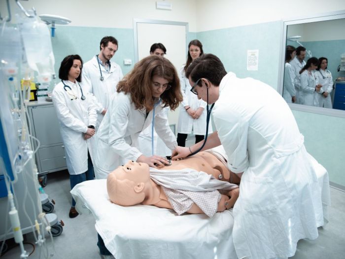 Test di Medicina e Odontoiatria: Università di Trieste attiva un corso di preparazione gratuito