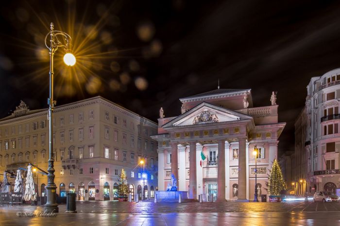 Giornata mondiale della prematurità, venerdì la Fontana del Nettuno sarà illuminata di viola
