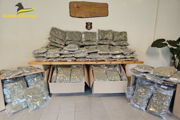 Fvg, la guardia di finanza sequestra 130 kg di marijuana al casello autostradale