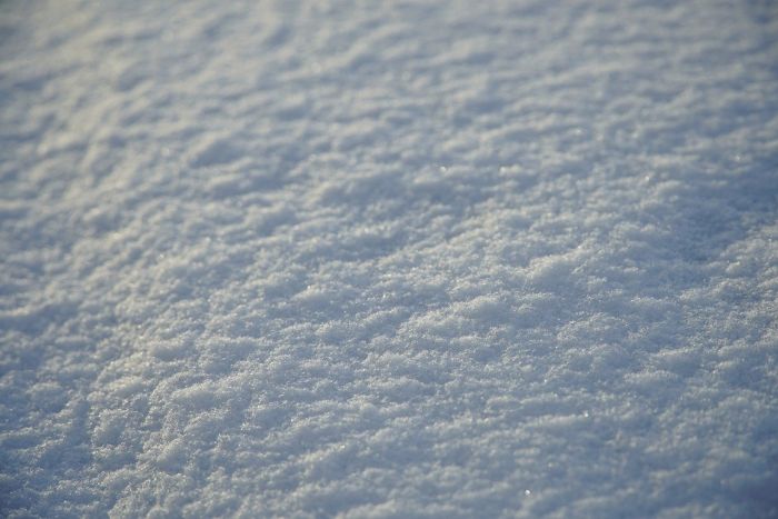 Trieste si prepara alla neve: il Piano Neve e i consigli per i cittadini