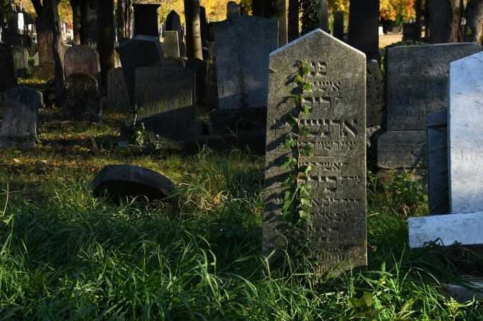 Vanno in cimitero e non hanno trovato la tomba del proprio defunto