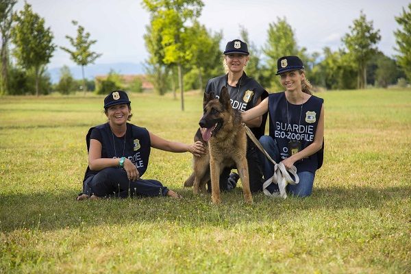 Trieste, corso online per Guardie Zoofile OIPA: lezioni gratuite dalla fine di novembre