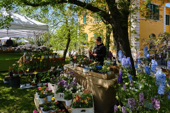 Horti Tergestini compie 20 anni, natura e cultura protagoniste nel parco di San Giovanni