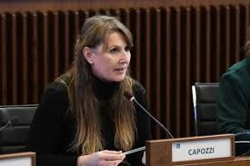 Giustizia. Capozzi (M5s): "La riforma può indebolire l'equilibrio democratico"