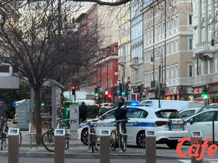 "Zone rosse da sole non bastano, serve più sinergia tra forze dell’ordine e vigilanza privata" (VIDEO)
