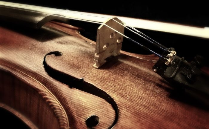 Trovano violino nei rifiuti a Trieste, è uno strumento del '700
