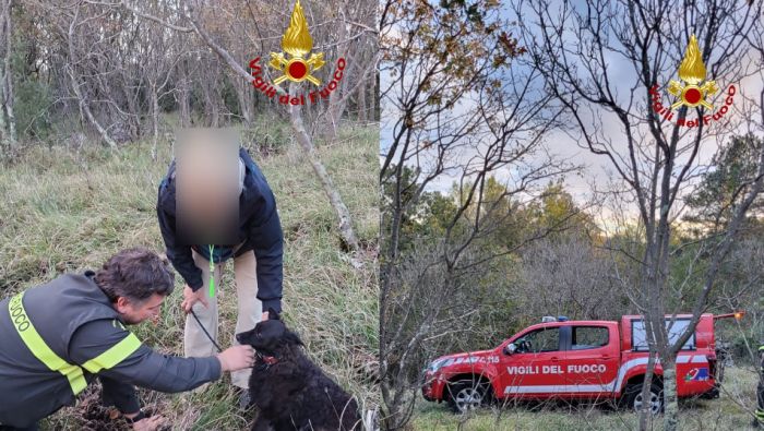 Trebiciano, simpatico cagnolino cade in una buca vicino pista ciclabile: vigili del fuoco lo salvano!  
