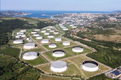 Allarme Verdi Trieste: "Da più di  una settimana si sono intensificati i miasmi da idrocarburi in città"
