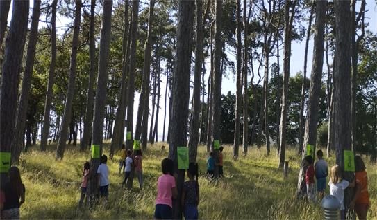 Raccolte oltre 5.000 firme pro pineta di Cattinara