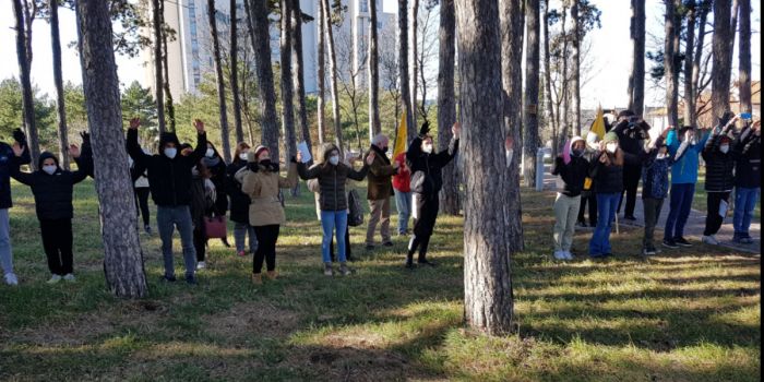 Superate le 8mila firme pro pineta di Cattinara