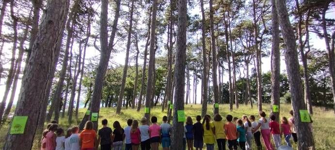 "Abbracciamo e salviamo la pineta di Cattinara!", mercoledì poesie, canti e danza in Pineta di Cattinara