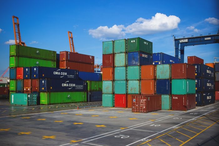 Droga, 260 kg di cocaina sequestrati nel porto di Capodistria 