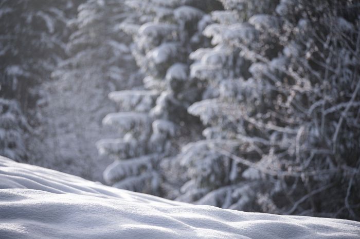 Torna il maltempo in Italia con pioggia e venti fortissimi e neve a bassa quota