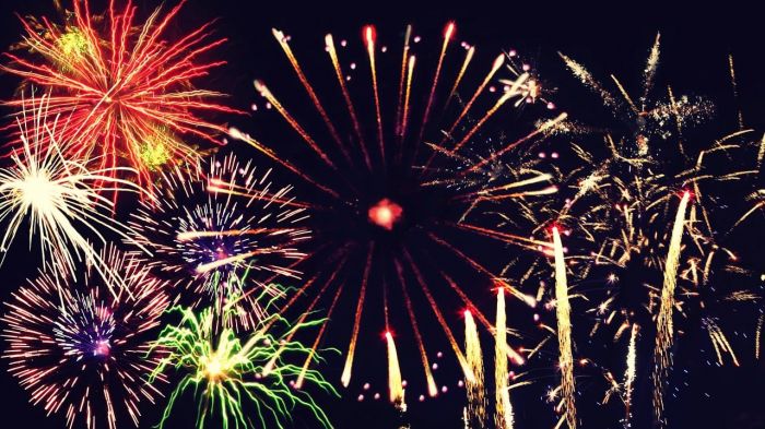 "No botti a Capodanno, tuteliamo i nostri amici animali!" 