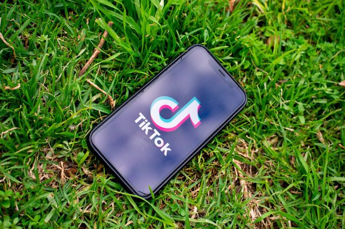 Stupro Palermo: arrestato fa post su TikTok, ma non è lui a pubblicarli