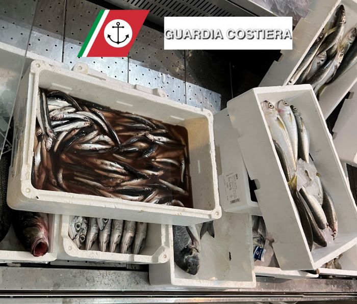 Monfalcone: chiusa pescheria in centro per  carenze igienico sanitarie e pesce mal conservato