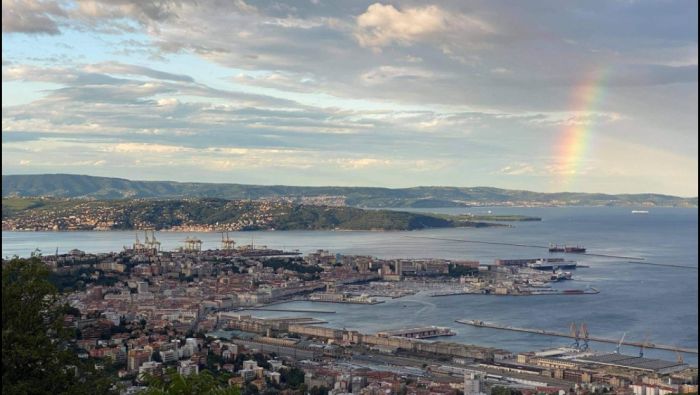 Alga tossica nel golfo di Trieste,un rischio anche inalarla