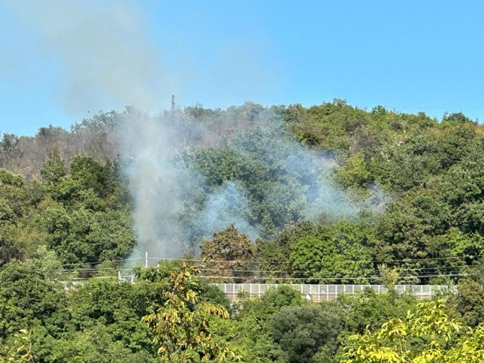 Ancora fiamme sul Carso, incendio boschivo a Medeazza