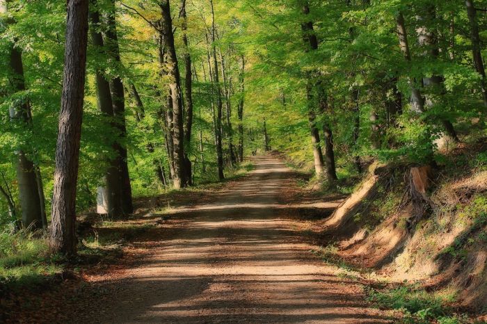 Basovizza, furto con scasso davanti al sentiero Ressel: rubati portafoglio e documenti da un'auto