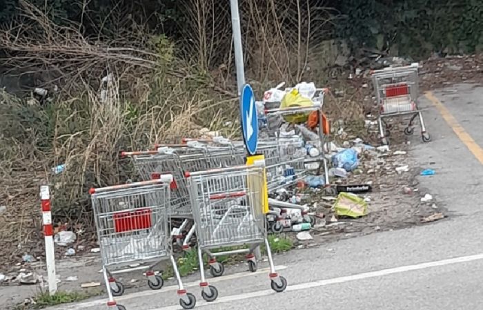 'Scalo Legnami, letamaio che grida vendetta', segnalazione di degrado urbano scuote Trieste