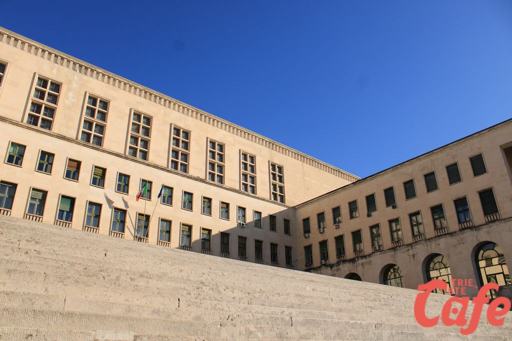 Leggere i cambiamenti climatici e lo stato della biodiversità attraverso i licheni: UniTs ospita i principali studiosi mondiali
