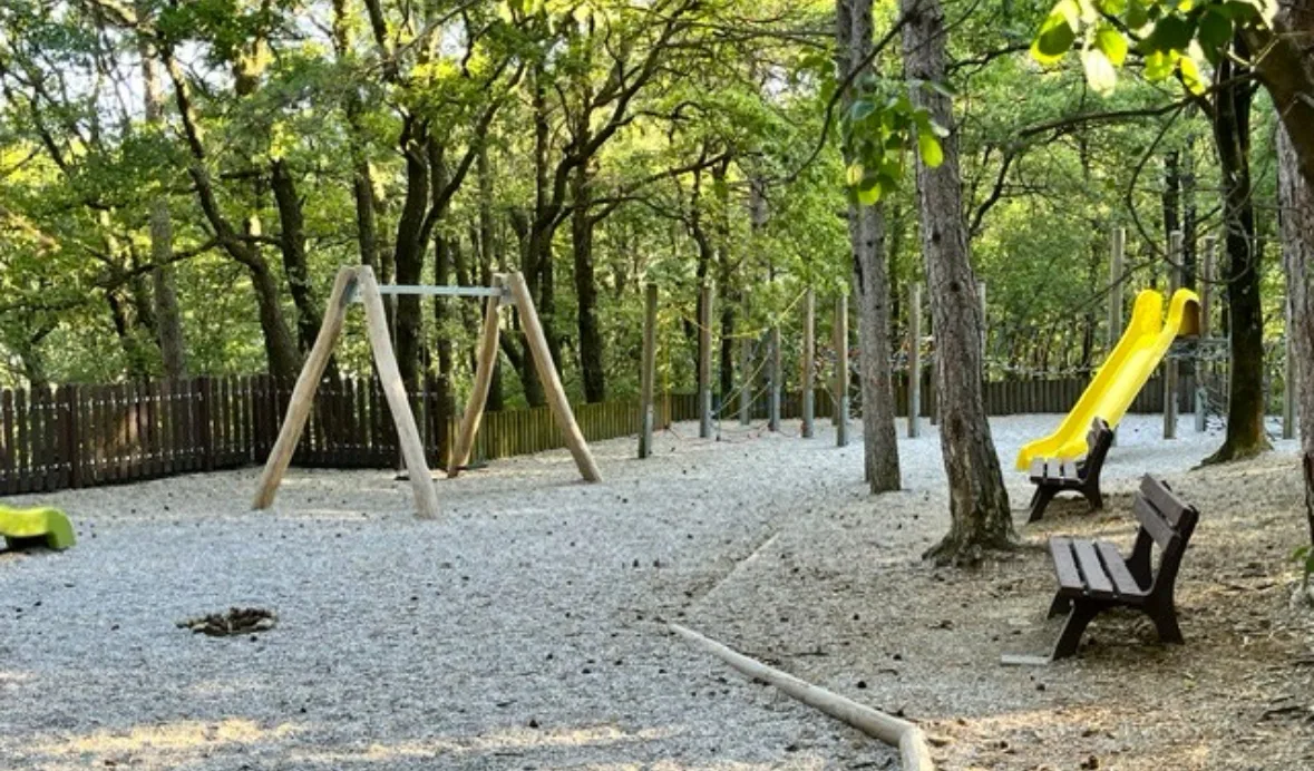 Civica Idea Giuliana: installate le panchine richieste nel bosco urbano Farneto