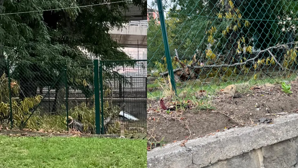 Area cani di Campi Elisi chiusa da una settimana, PD: «Servono tempi certi per la riapertura»