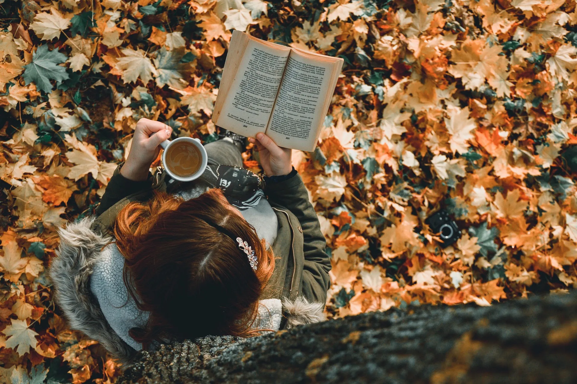 "Leggere ti porta ovunque", concorso creativo per i nuovi segnalibri delle biblioteche comunali