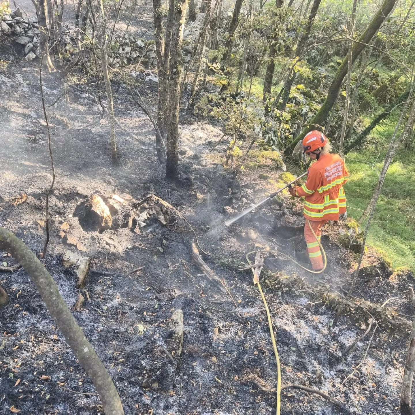 Incendio a Padriciano, avviata la bonifica: SP19 ancora chiusa e 14 volontari al lavoro