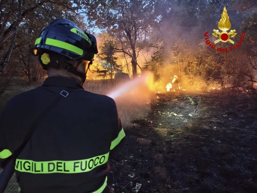 Incendio sul Carso, emergenza ancora in corso: 30 Vigili del Fuoco impegnati tra Padriciano e Gropada (VIDEO)