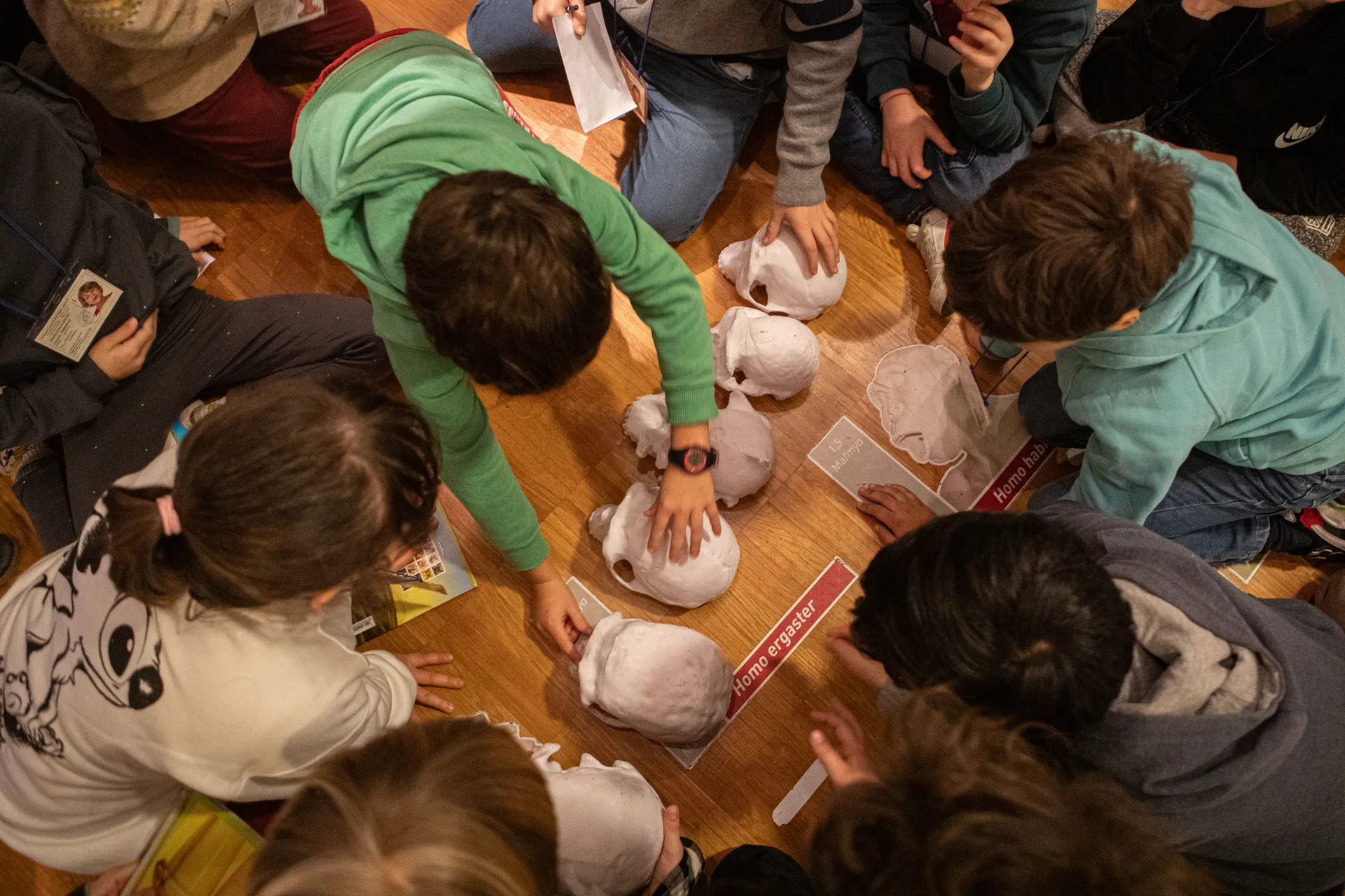 Edu Day 2026. Il 12 settembre Sartorio, Civici Musei e Coopculture incontrano la scuola