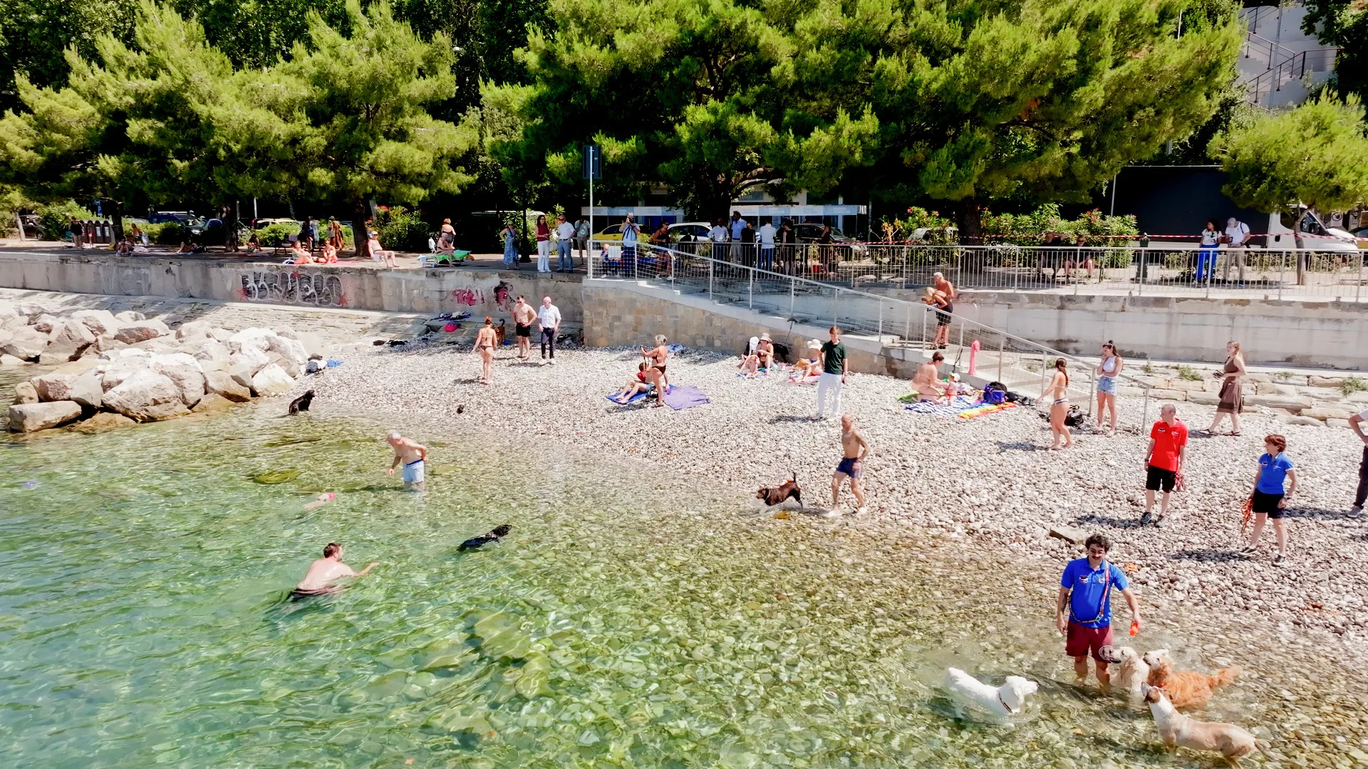 Ultimati i lavori della "Bau Beach", a Barcola la prima spiaggia attrezzata per gli amici a 4 zampe