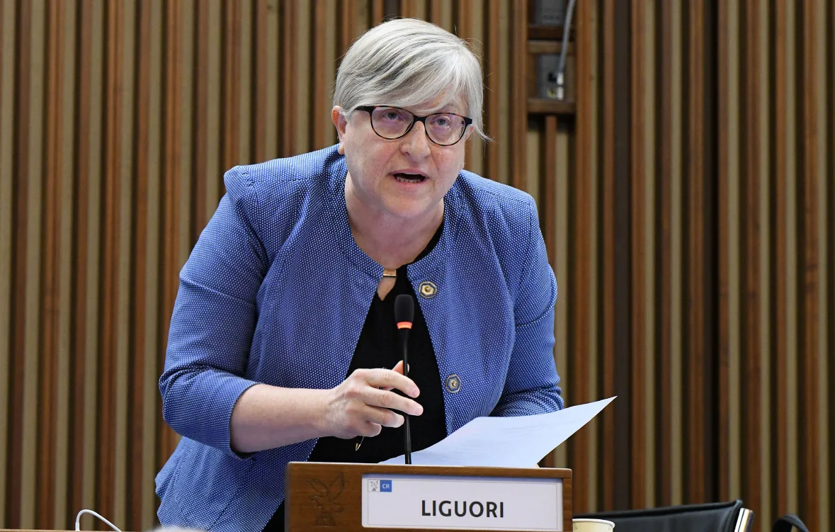 Bilancio, Liguori: “Sanità territoriale, animali, trasporti ed endometriosi: le nostre proposte”