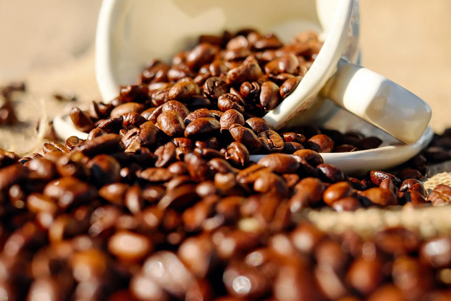 Trieste capitale del caffè: al via il 1° Simposio internazionale dei Musei alla Camera di Commercio