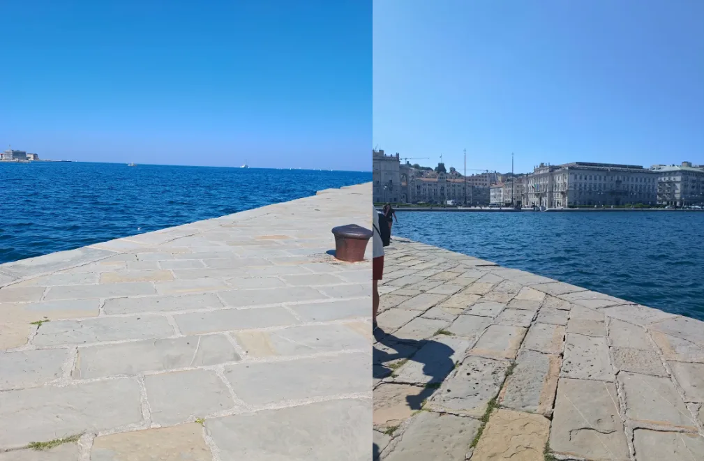 Trieste, ratti morti nelle acque del Molo Audace: "Uno spettacolo che lascia senza parole"