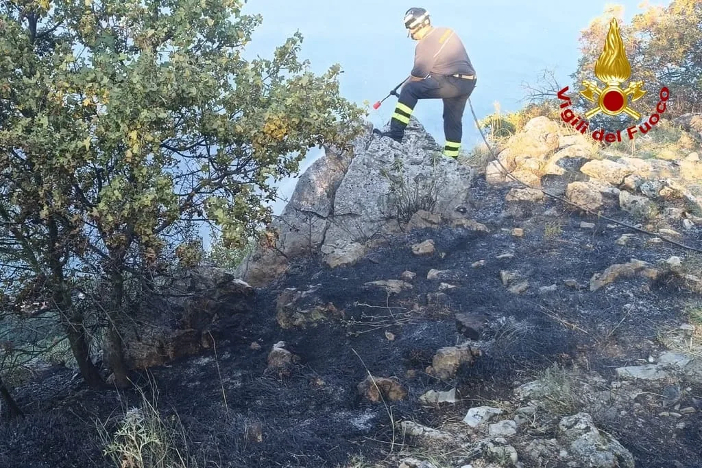Trieste, incendio sulla Napoleonica: bruciati circa 3.000 metri quadrati, bonifica ancora in corso