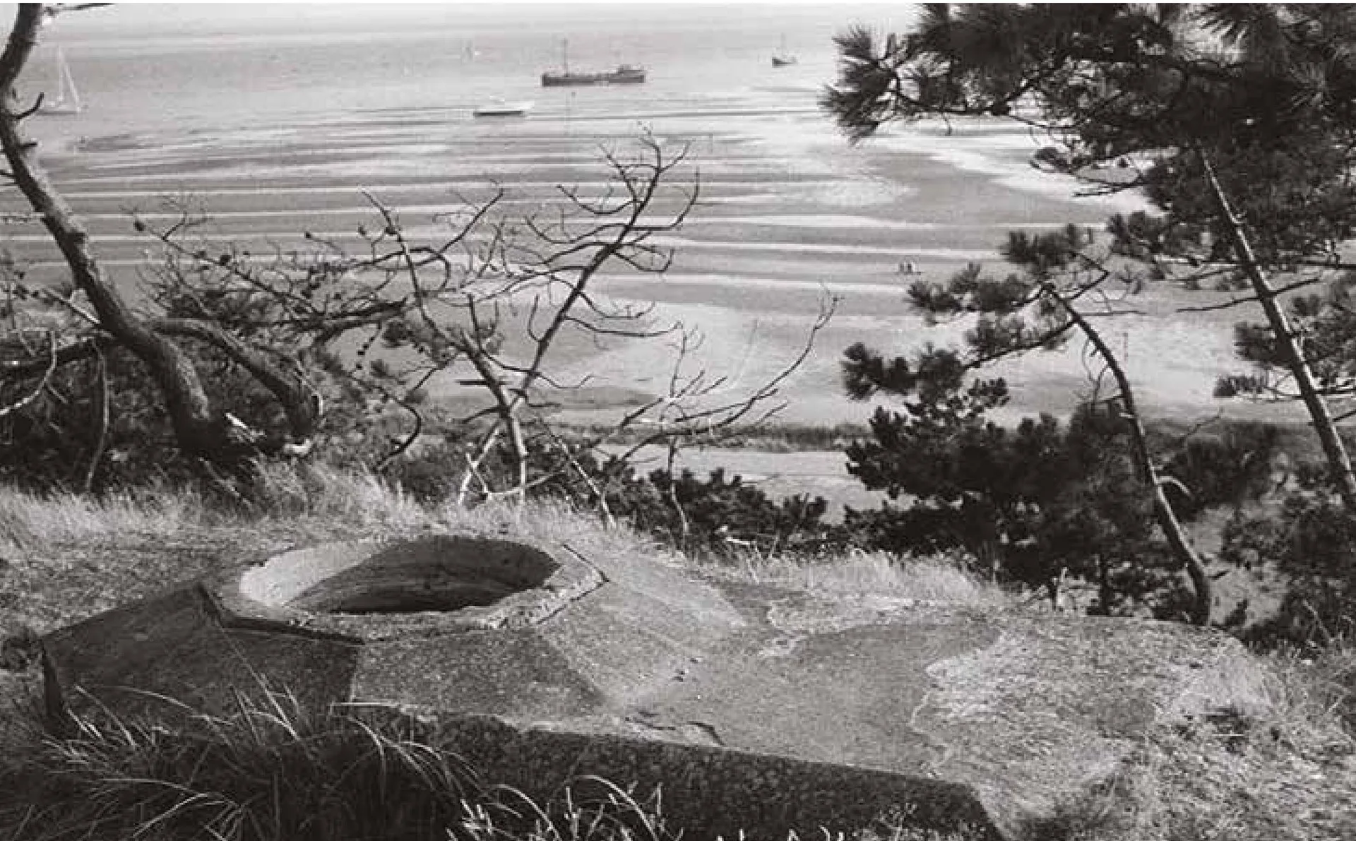 Trieste sotterranea: il CAT e la V Circoscrizione riaprono i bunker e le gallerie antiaeree