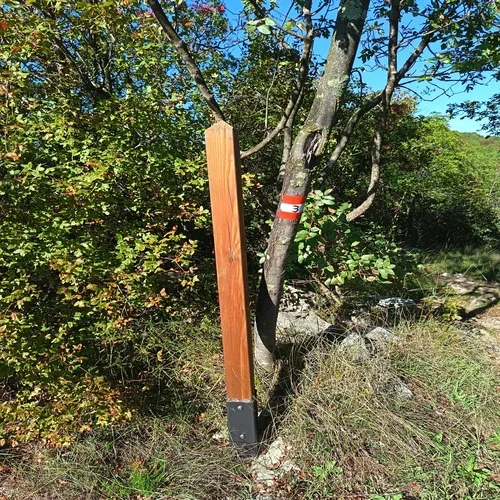Duino-Aurisina. Rubate 20 tabelle “Walk of Peace”, Comune al lavoro per la sostituzione