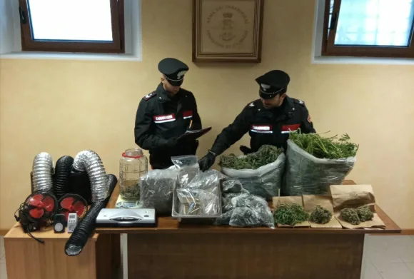 Serre professionali vicino al lago di Verzegnis: i Carabinieri sequestrano nove chili di droga