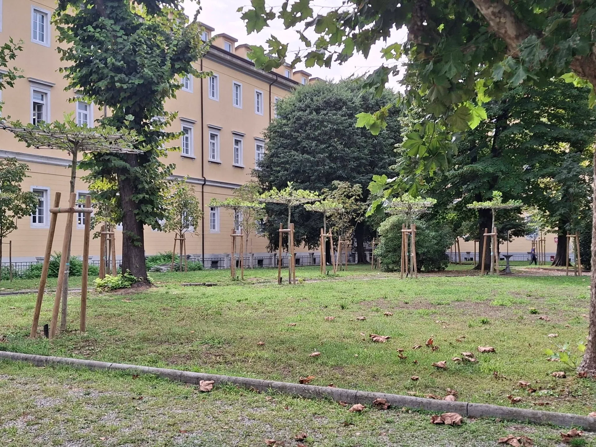 Trieste, nuovi alberi al Giardino del Maggiore: un lettore protesta, «Qui ce ne sono già, servono altrove»