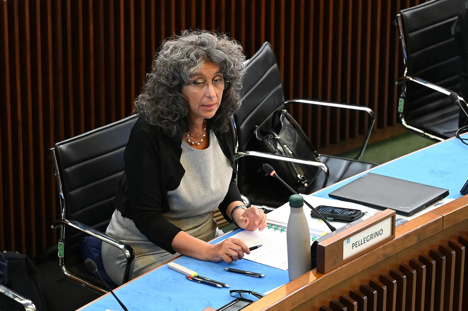 Servola, Pellegrino (AVS) sul post Ferriera: «Incertezza sui tempi di trasloco del circolo e dei campi sportivi»